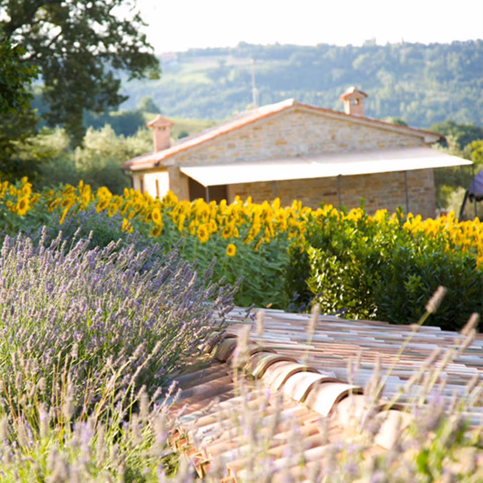 agriturismo a serra san quirico nelle marche